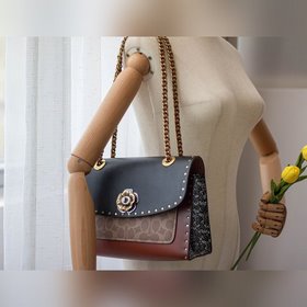 Coach parker Женская сумка 29416 Сумка с цепочкой и змеиной тек