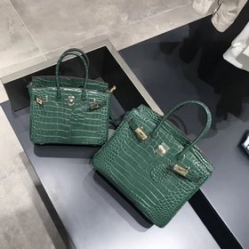 Hermès Платиновый крокодил ~ зеленый Артикул： 0209618800 (25 см)