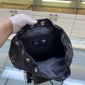 PRADA Модель, разработанная совместно ad и Pd： 2VC015. Два крупн