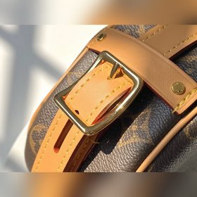 LV Самая красивая маленькая сумка в форме круглого пирога в истор