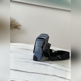 LV Модель： N50061 Синий Осенняя и зимняя коллекция Сумка через п