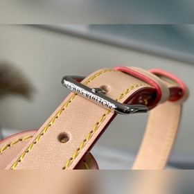 LV Артикул： M45884 Сумка из капсульной коллекции осень-зима 2021
