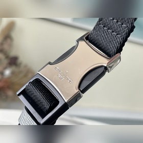 LV Модель： M30245 Серебристый, ограниченная серия Поясная сумка 
