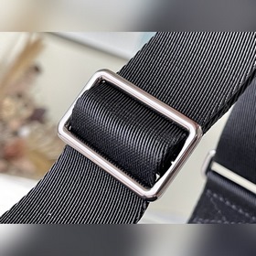 LV Модель： N42711 Кожаная сумка-почтальон с тиснением, маленькая