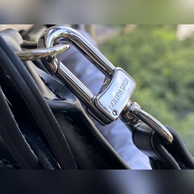 LV Артикул： M40302 Черный Сумка Alma BB Одна из самых знаковых 