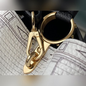 LV Артикул： M42258 Лувр, сумка среднего размера Из капсульной ко