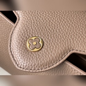 LV Модель： M58671 Коричнево-серый с леопардовым принтом сумка И