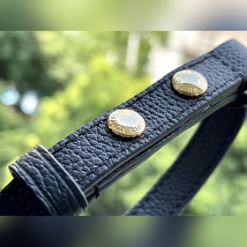 LV « » Артикул： M45813 Любимая сумка « » из мягкой зернистой кожи