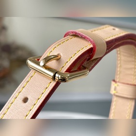 LV Артикул： M41982 [Модель с винтажным цветом] [Сумка-седло] [Б