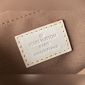 LV Артикул： M44813 Зеленая сумка Сочетает в себе клатч, сумочку 