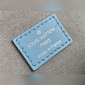 LV Модель M57790 Сине-серый  Coussin Маленькая сумка Из капсуль