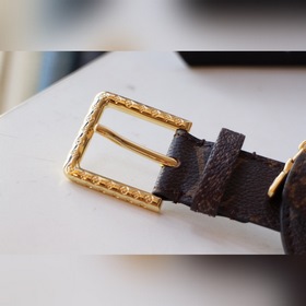 LV DAILY MULTI POCKET поясная сумка Артикул： M0236U Ремень Пояс 