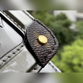 LV Артикул： M90566  Сумка Wynwood на цепочке Изготовлена из кож