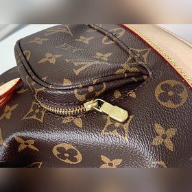LV Модель M51137 Сумка из парусины с монограммой Bosphore назва