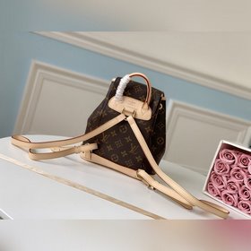 LV Модель M51137 Сумка из парусины с монограммой Bosphore назва