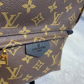 LV Модель M41560 Маленькая сумка Cruise 16 Этот рюкзак, который п