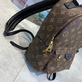 LV Модель M41560 Маленькая сумка Cruise 16 Этот рюкзак, который п