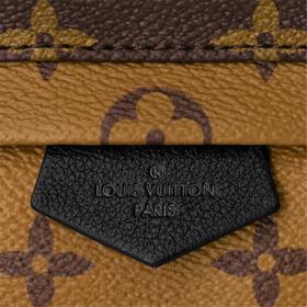 LV Внешний слой из ткани Monogram с двумя плечевыми ремнями Нейло