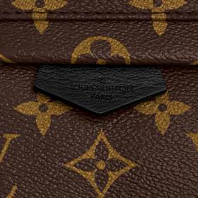 LV - Ткань с монограммой Рюкзак Мягкая отделка из телячьей кожи -