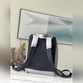 LV Артикул： M46105 Рюкзак с кожаными деталями подчеркивает инди
