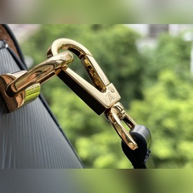 LV Артикул： M58546 Бежевый Twist Маленькая сумка Из капсульной 