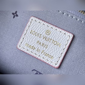 LV Артикул： M59856 Маленькая сумка Новая сумка из канваса с гра