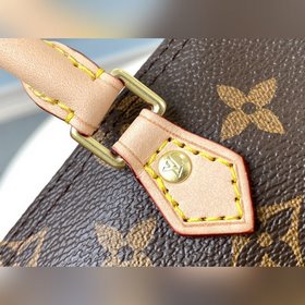 LV Модель M61251 Самая красивая сумка-подушка 20 см в истории Ра