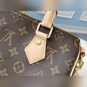 Сумка LV Speedy 25, модель M41113 Являясь классическим образцом 