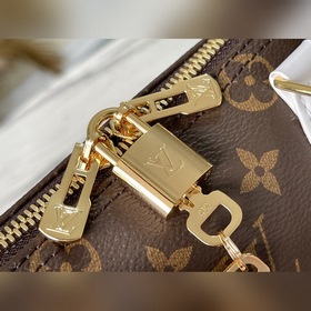 LV Модель： M20754 Сумка Speedy25 Классическая сумка из парусины