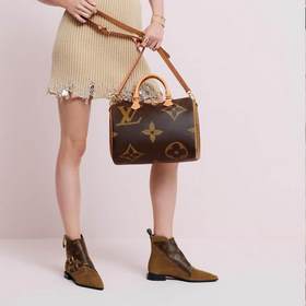 LV Полотно с покрытием Monogram и Monogram Reverse VVN Подушка с