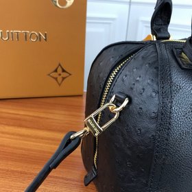 LV Модель： 55780 Сумка-подушка Уникальный дизайн стал классическ