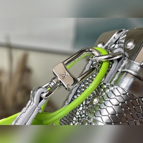LV Артикул： M44199 Серебристая сумка-коробка с узором кожи питон