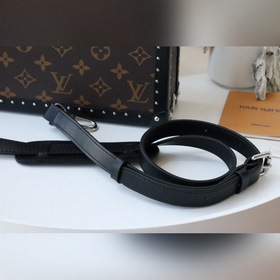 LV Артикул： M20101 Версия с тонким ремешком Коробка Эта сумка вы