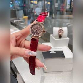 LV Louis Vuitton пользуется особой популярностью среди женщин. Ко
