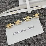 Фотография высококачественных сережек DIOR, представленных в фирменном магазине.