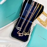 Tiffany HardWear серия Двухслойное ожерелье с полубриллиантовыми шарнирами. Клас