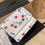 Подарочная упаковка, сумка Klare в стиле Coach, сумка через плечо, постер. Класс