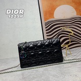 Diorcaropouch – новая популярная модель сумки с цепочкой, изящная и компактная, 