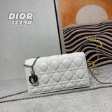 Diorcaropouch – новая популярная модель сумки с цепочкой, изящная и компактная, 