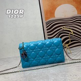Diorcaropouch – новая популярная модель сумки с цепочкой, изящная и компактная, 