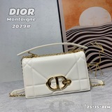 【Комплект】 Dior Diamond Vine 30 Montaigne WOC ||| Новая модель этого года с блес