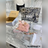 Кожаная сумка для фотоаппарата Dior Caro выглядит очень стильно. Наконец-то я пр