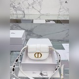 ｜Dior Saddle Полумесячный седельный чемодан D-серия седельных чемоданов, английс