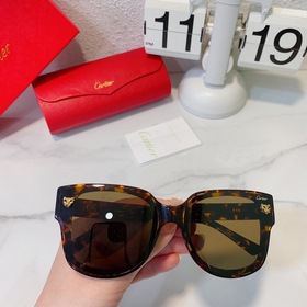 Cartier  Модель： CT0357S Размер： 63 мм x 17 мм x 145 мм