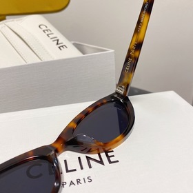 Новая модель на официальном сайте CELINE CL4S184 → Тортильи
