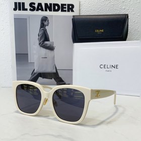 CELINE Модель： CL40222F Размер： 55х21-145