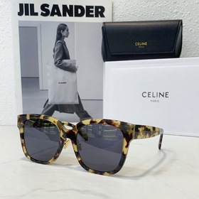 CELINE Модель： CL40222F Размер： 55х21-145
