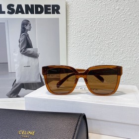 CELINE Модель： CL40222F Размер： 55х21-145
