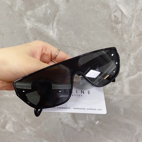 Официальный сайт CELINE Детали  Модель： CL40195