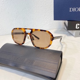 DIOR Модель： DIORAL13.14 Размер： 54 x 22-150